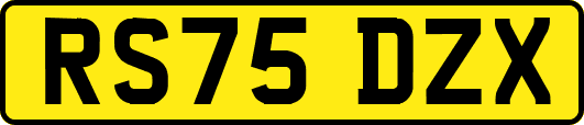 RS75DZX