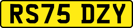 RS75DZY