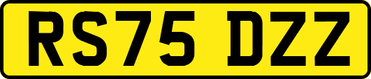 RS75DZZ