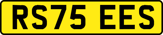 RS75EES