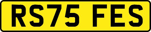 RS75FES