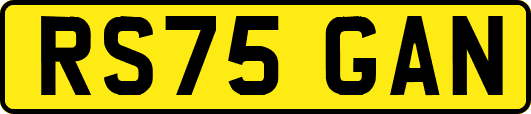 RS75GAN