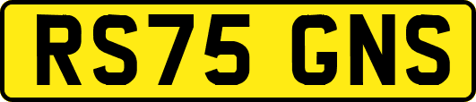 RS75GNS