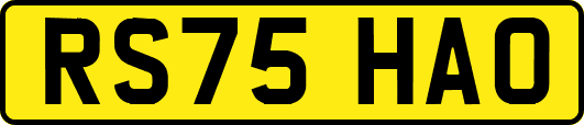 RS75HAO