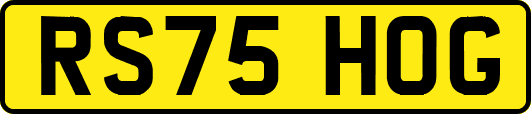 RS75HOG