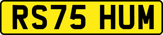 RS75HUM