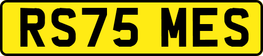 RS75MES