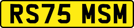 RS75MSM