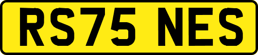 RS75NES