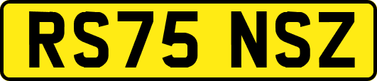 RS75NSZ