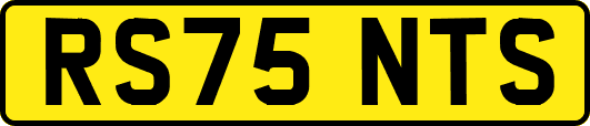 RS75NTS
