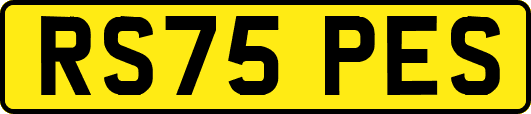 RS75PES
