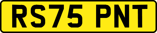 RS75PNT