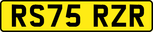 RS75RZR