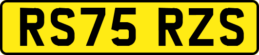 RS75RZS