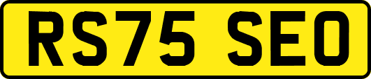 RS75SEO