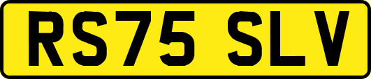 RS75SLV