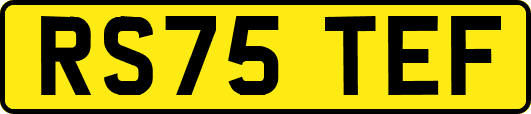 RS75TEF