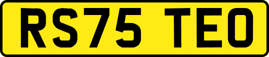 RS75TEO