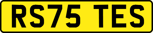 RS75TES