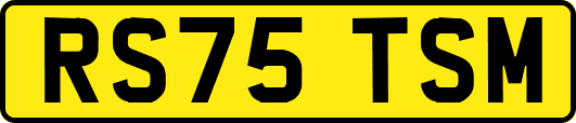 RS75TSM