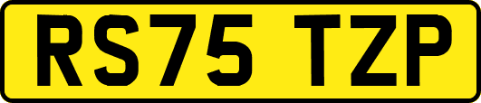 RS75TZP