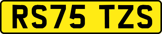 RS75TZS