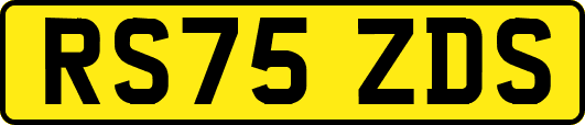 RS75ZDS