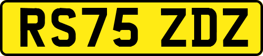 RS75ZDZ