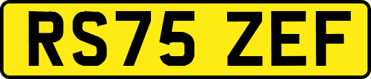 RS75ZEF