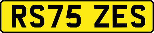 RS75ZES