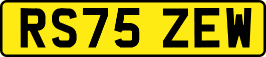 RS75ZEW