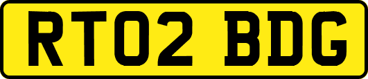 RT02BDG