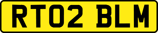 RT02BLM