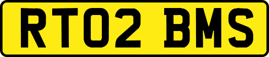 RT02BMS