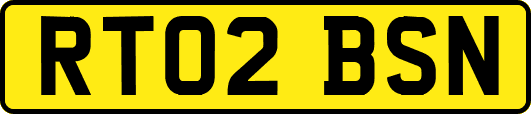 RT02BSN