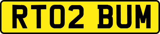 RT02BUM