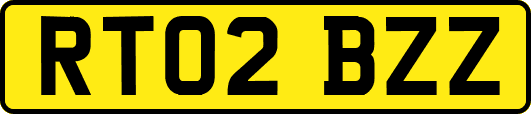RT02BZZ