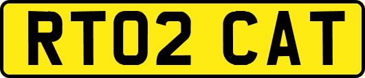 RT02CAT