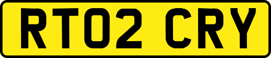 RT02CRY