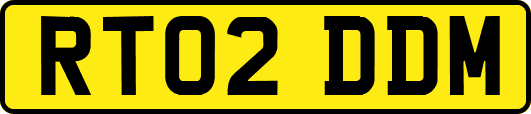RT02DDM
