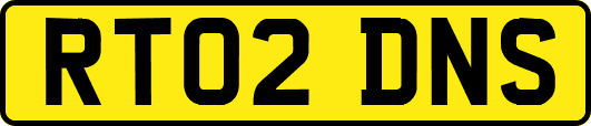 RT02DNS