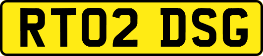 RT02DSG
