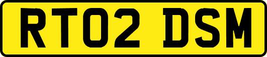 RT02DSM