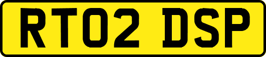RT02DSP