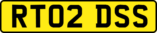 RT02DSS