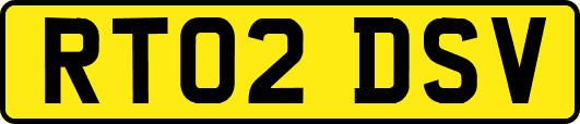 RT02DSV