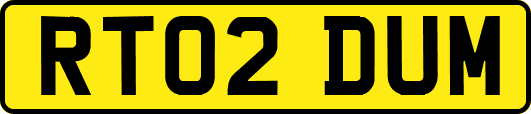 RT02DUM