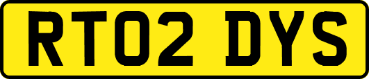 RT02DYS