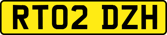 RT02DZH
